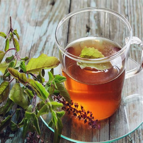 tulsi mega link|7 Amazing Health Benefits of Tulsi Tea (and its Side Effects).
